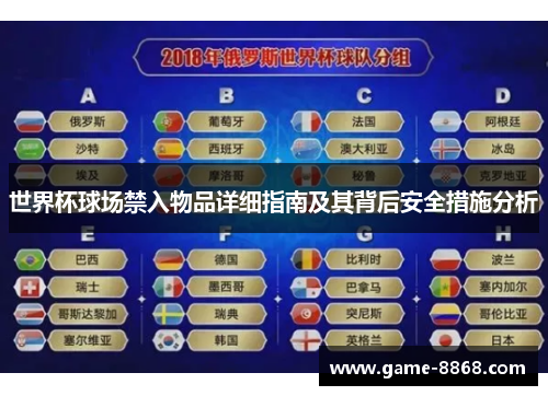 世界杯球场禁入物品详细指南及其背后安全措施分析