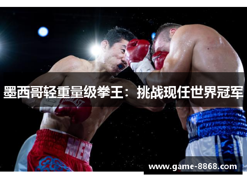 墨西哥轻重量级拳王：挑战现任世界冠军