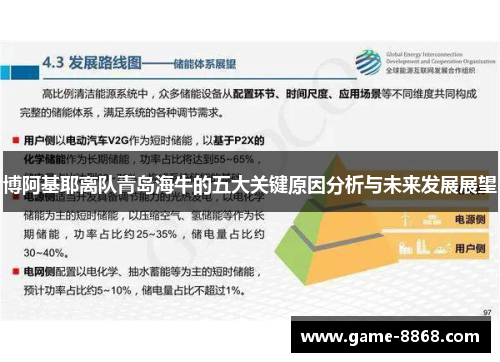博阿基耶离队青岛海牛的五大关键原因分析与未来发展展望