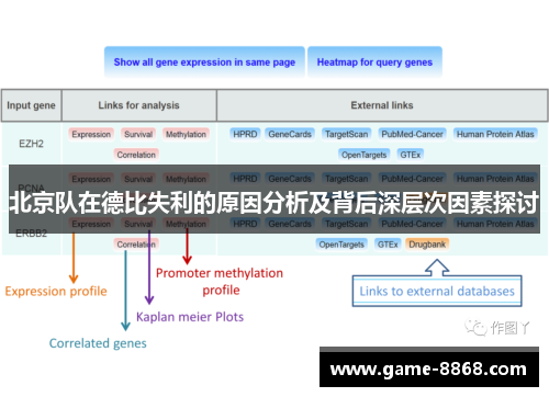 北京队在德比失利的原因分析及背后深层次因素探讨