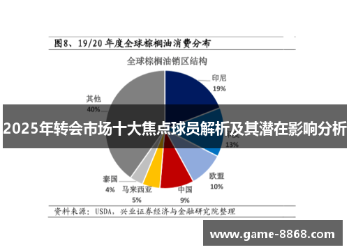 2025年转会市场十大焦点球员解析及其潜在影响分析