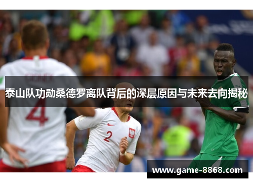 泰山队功勋桑德罗离队背后的深层原因与未来去向揭秘