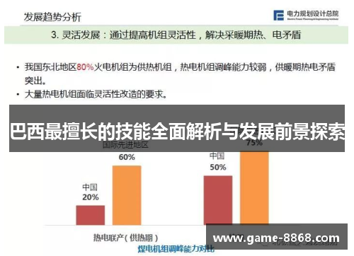 巴西最擅长的技能全面解析与发展前景探索